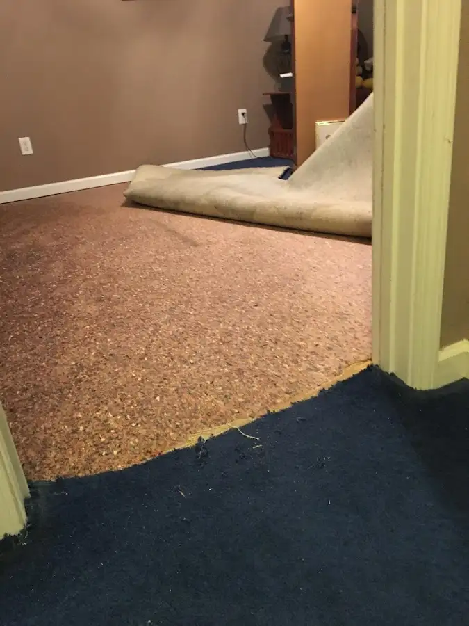 Carpet pad removal revealing water damage during Drying & Dehumidification in Charlottesville