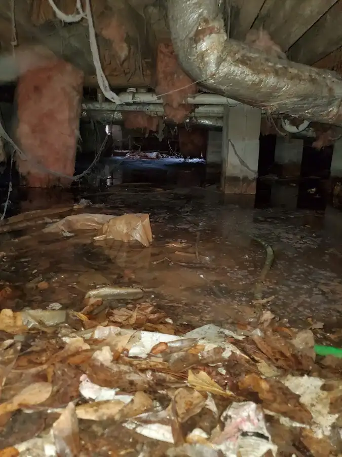 Crawl space flood assessment for Leak Detection & Repair in Charlottesville