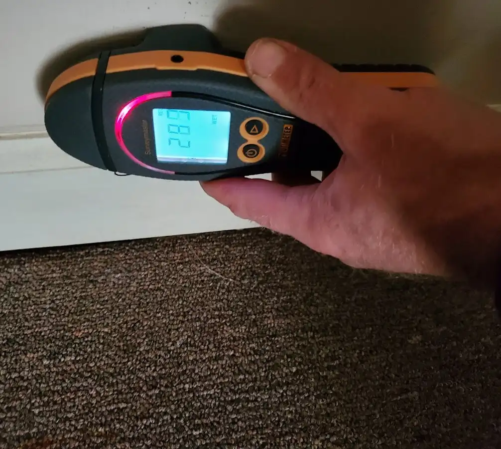 Moisture detection at baseboard during Sewage Cleanup & Sanitation in Charlottesville